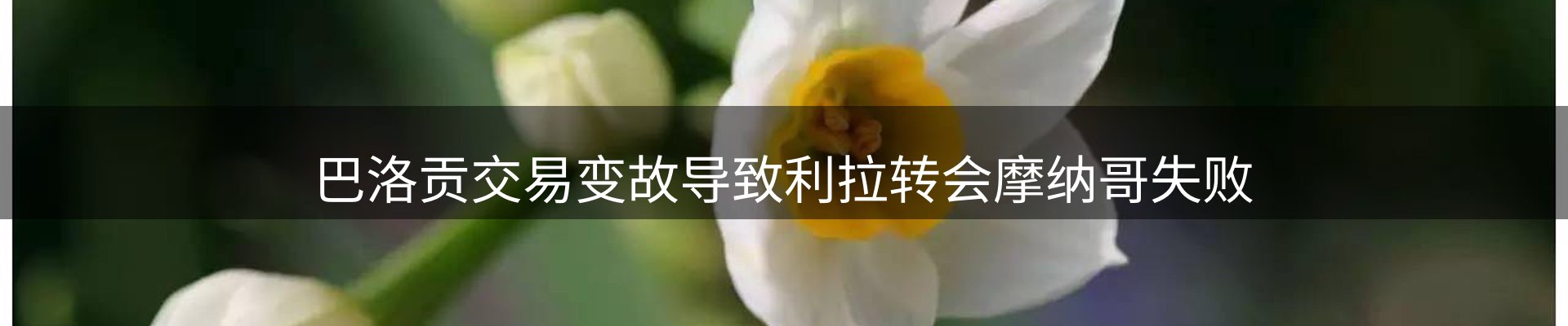 资讯一览